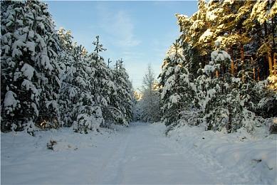 开放世界生存恐怖游戏《迷雾计划》Steam页面公开