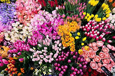 《密室逃脱模拟器》销量破百万 将新添免费游戏内容