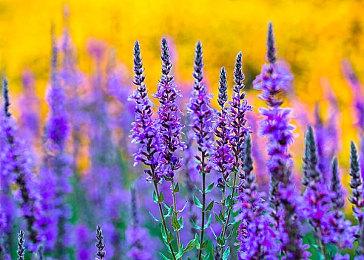 《堕落之主》开发商盛赞虚幻5是一个巨大的技术飞跃 主机支持2K＆30FPS